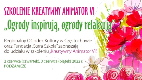 Kreatywny Animator VI