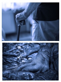 Na pierwszym zdjęciu widzimy starszą osobę podpierającą się na lasce. Na drugiej fotografii widoczne drzewo. Oba zdjęcia pokazane są przez niebieski filtr.